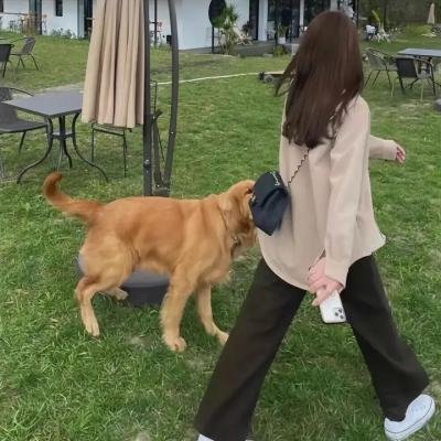 糊涂特务野娇娃
