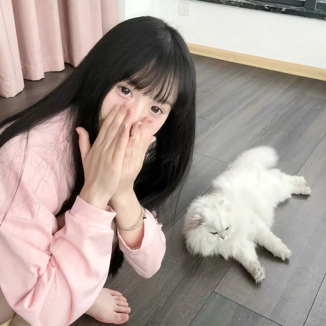 动物狂想曲第二季